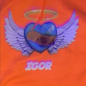 Tyler the creator IGOR your hoodie.